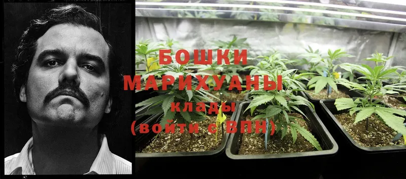 Бошки марихуана Bruce Banner  хочу наркоту  Первомайск 